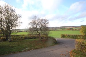 Photo 11- click for photo gallery